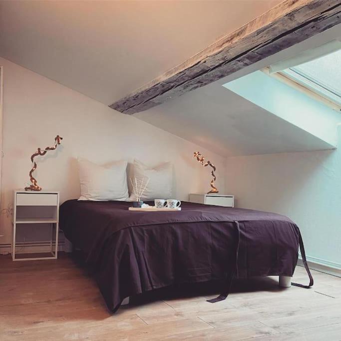 Nancy Appartement En Triplex Plein Centre Εξωτερικό φωτογραφία